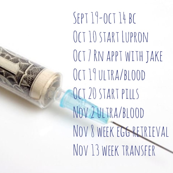 IVF Schedule 